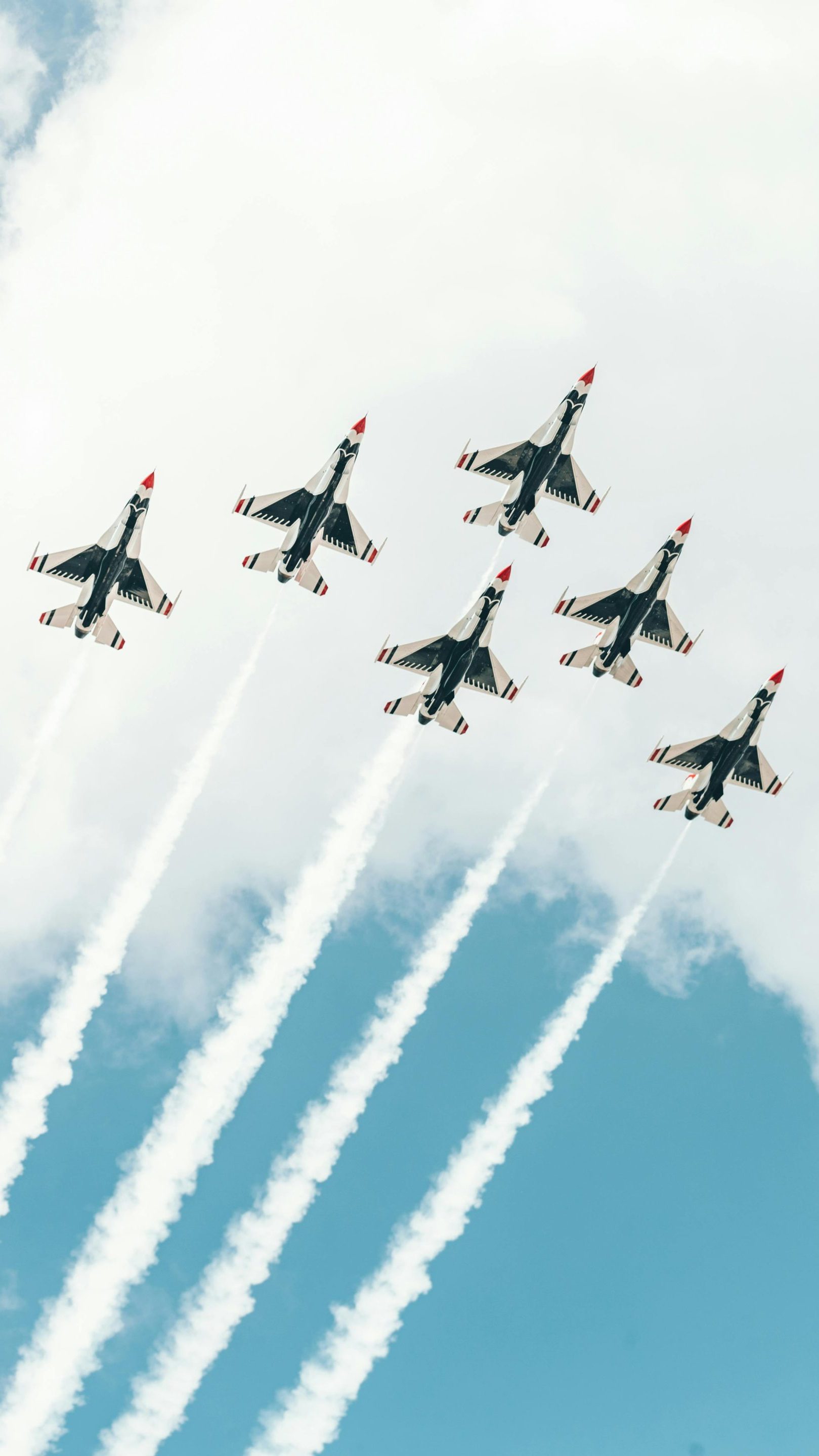 Section 805 of the FY 2024 National Defense Authorization Act